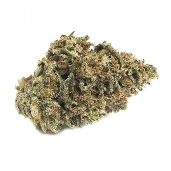 1/2oz - Watermelon Kush |Indica| A refreshing summer treat